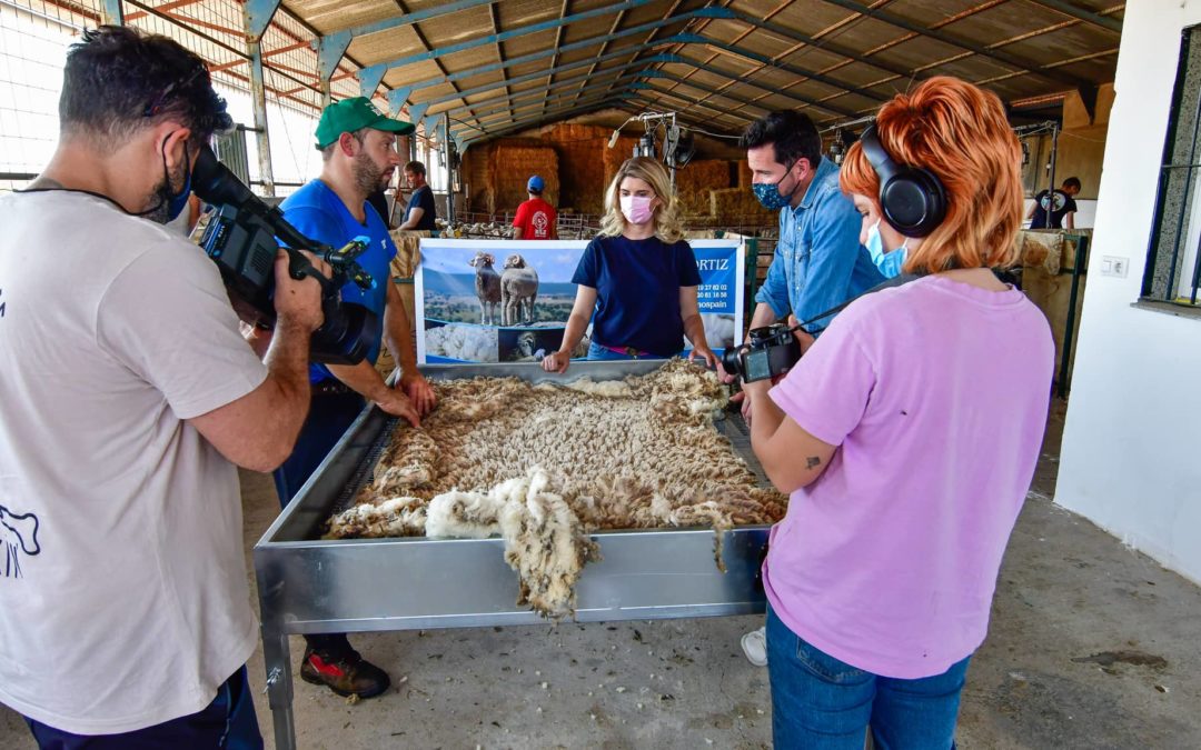 La esquila de paso al verano